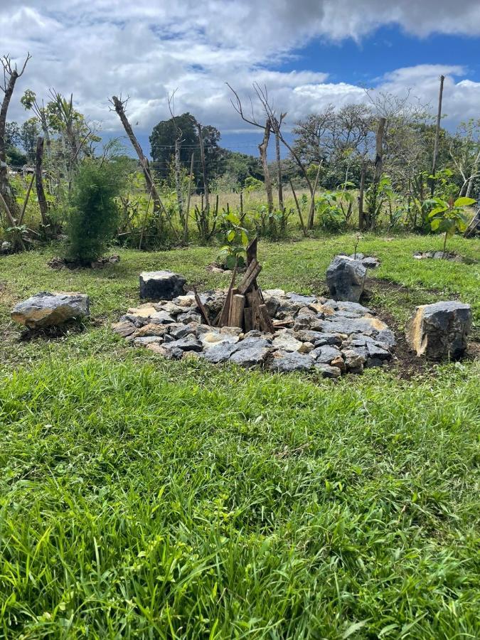 Glamping Campo Alegre Hotel Cartago Bagian luar foto