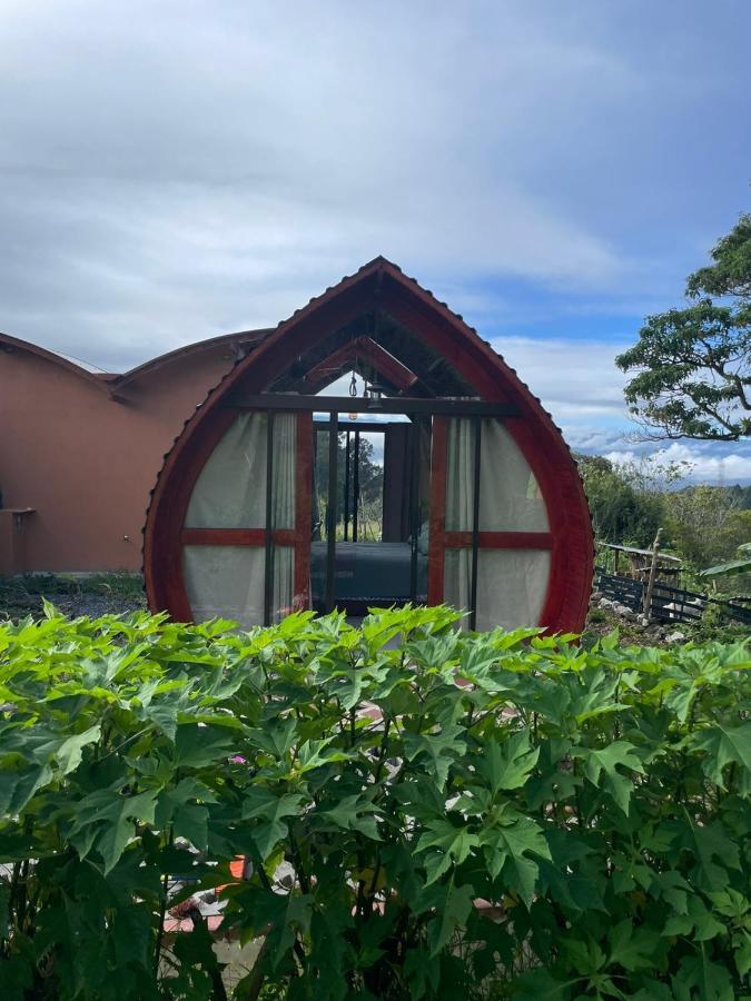 Glamping Campo Alegre Hotel Cartago Bagian luar foto