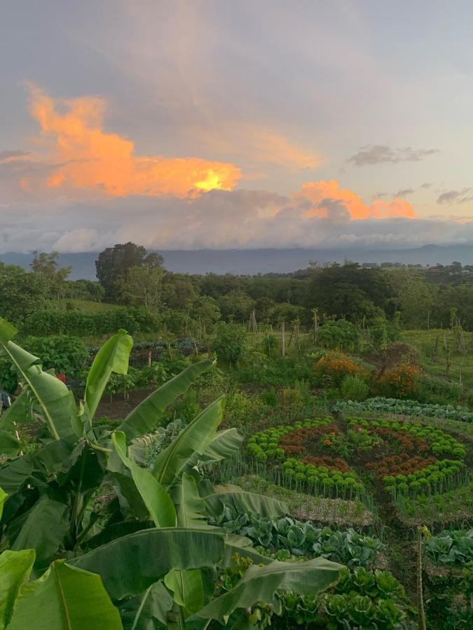 Glamping Campo Alegre Hotel Cartago Bagian luar foto